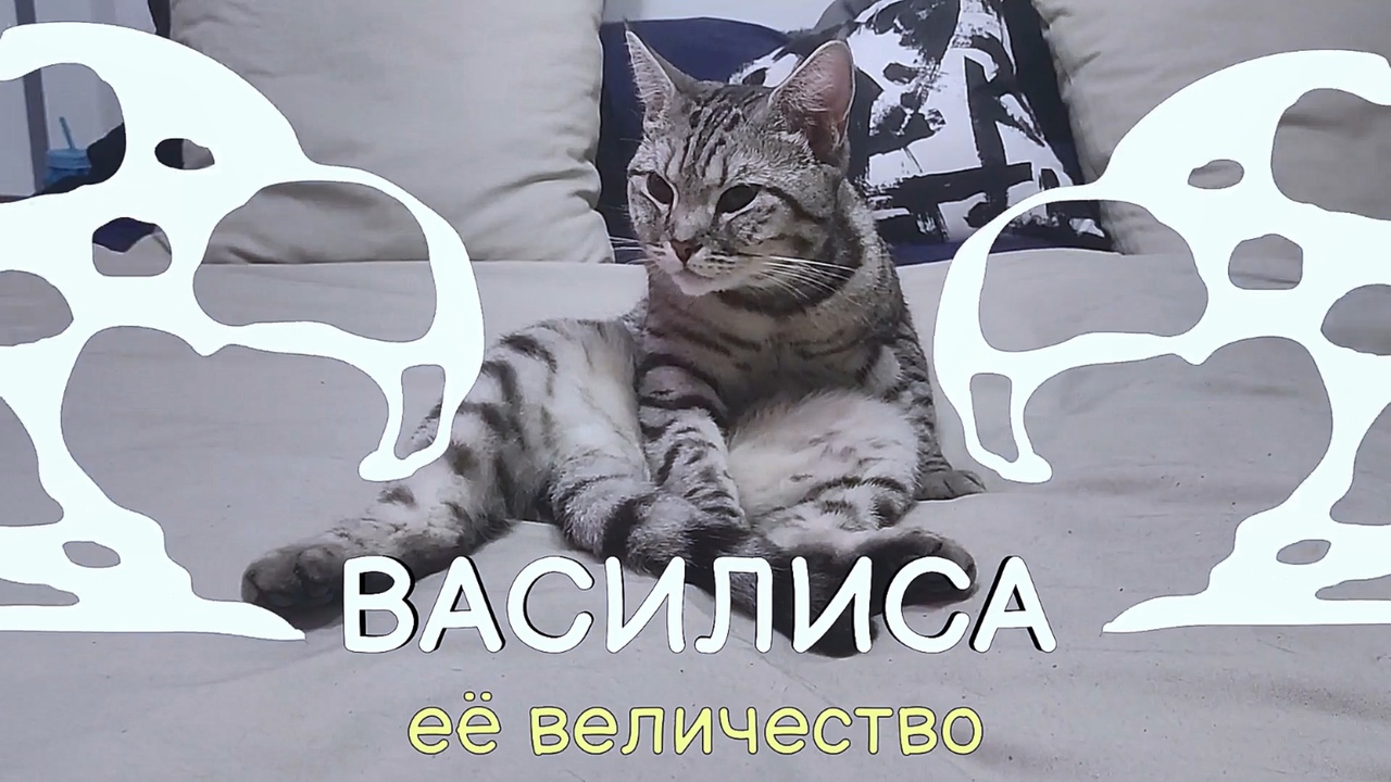 Её величество Василиса.