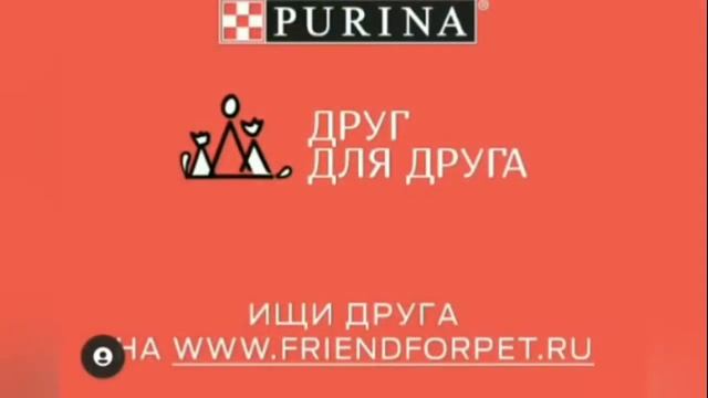 Сборник реклам с Клавой Кокой(2020-2022) смотреть онлайн