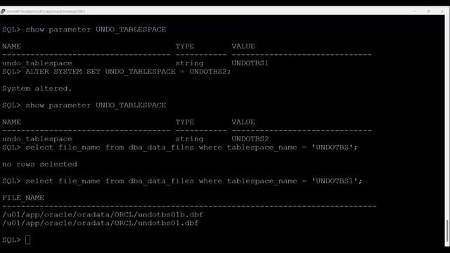 Free-Oracle-19c-Old-Arch-DBA-Workshop-L17-Morning-Session смотреть онлайн