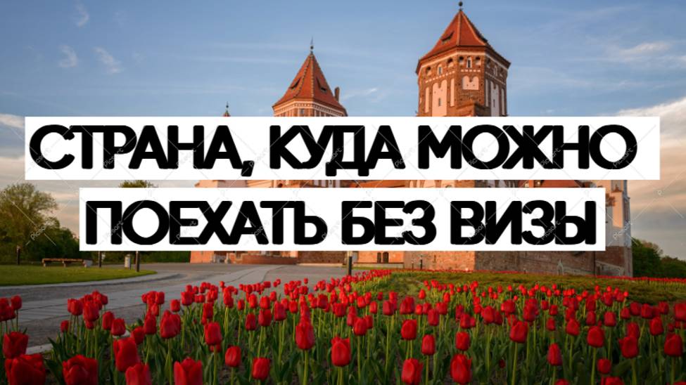 Куда можно поехать летом 2024 без визы? #путешествие #туризм #природа #курорт #отдых смотреть онлайн