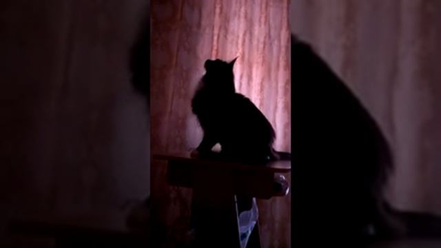 Летающий слон смотреть онлайн