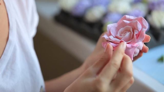 Как растут цветы смотреть онлайн