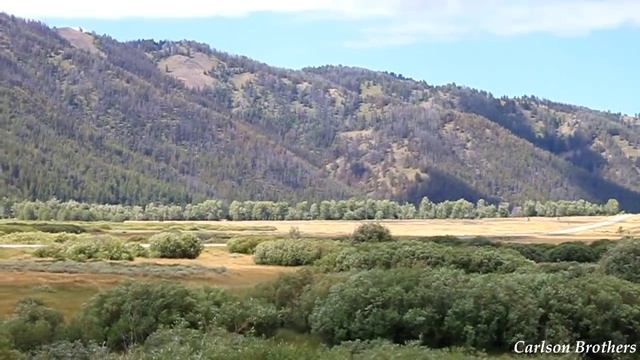82 Year Old Woman Takes Corvette To 171 Miles Per Hour смотреть онлайн