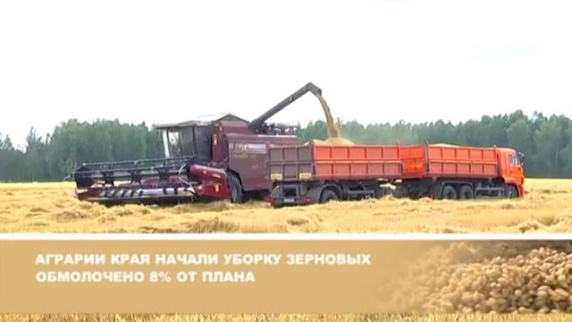 О хлебе насущном 26.08.16