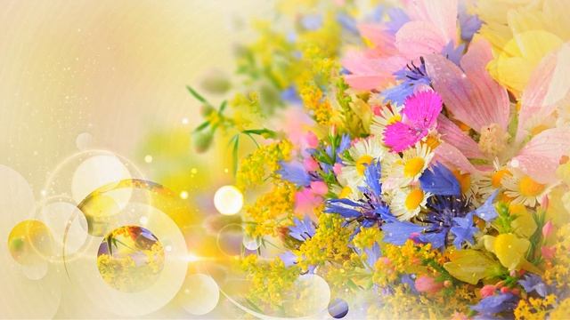 Футаж ЦВЕТОЧНЫЙ -7 Floral Footage-7 Video Background HD смотреть онлайн
