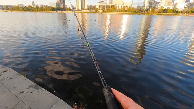Первый судак на спиннинг на городском пруду в сентябре. смотреть онлайн
