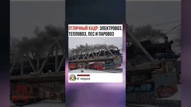 #short #shorts #мем #мемы #прикол #юмор #funny (43) смотреть онлайн