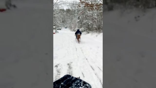 No sleds no problem.lol смотреть онлайн