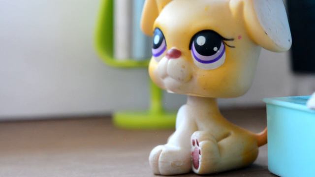 LPS: ИДУ ЗА ТОБОЙ серия 7 l НЕ ОБЩАЙСЯ С РОБЕРТОМ смотреть онлайн