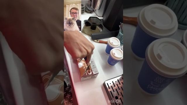 Как сделать подставку под стаканчики кофе