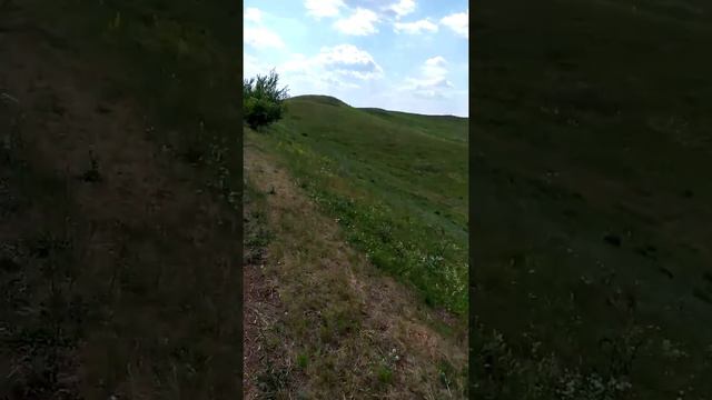 Кресный ход, Табынской Божией Матери, от с. Скворчихи до Ишимбая, с заходом в совхоз Нефтяников и н смотреть онлайн