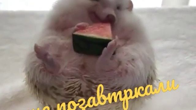 проснись и пой. смотреть онлайн