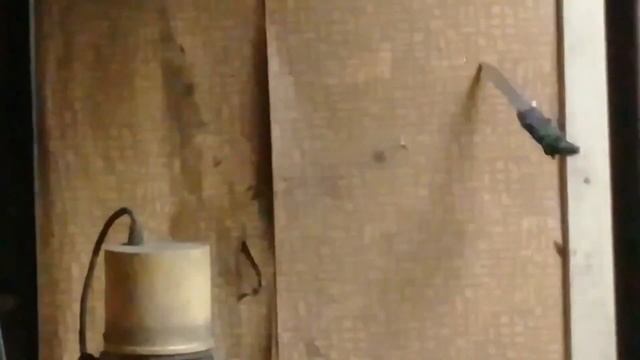 23.08.2019_Типа, профессиональное метание ножа / Knife throwing смотреть онлайн