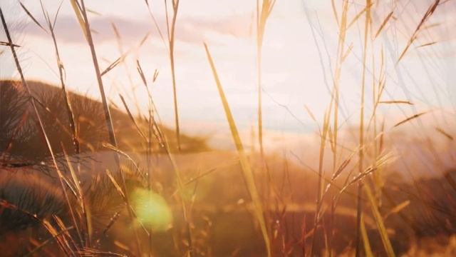 Отговорила роща золотая | Есенин | поэзия | стихотворение про осень и природу смотреть онлайн