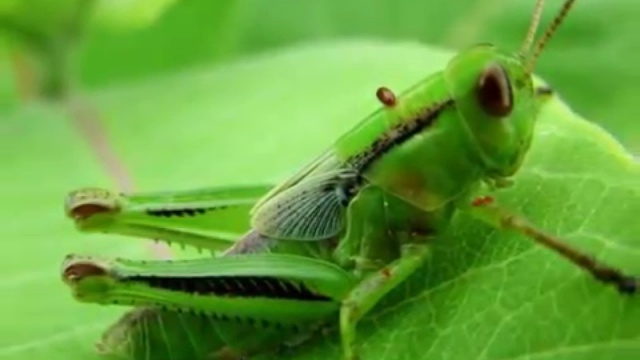 Rutube_account_751087