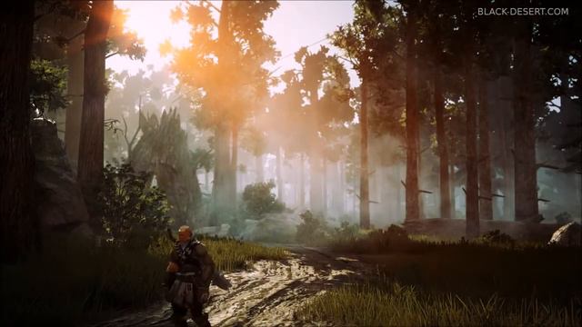 Black Desert cb2 115 farklı noktanın çekimi смотреть онлайн