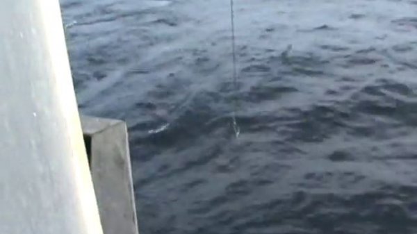 COMMERCIAL FISHING TROLLING FOR KING SALMON IN SITKA ALASKA