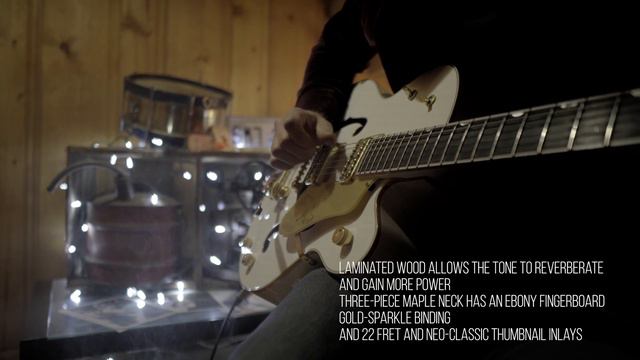 GRETSCH WHITE FALCON G6136T - 2014 смотреть онлайн