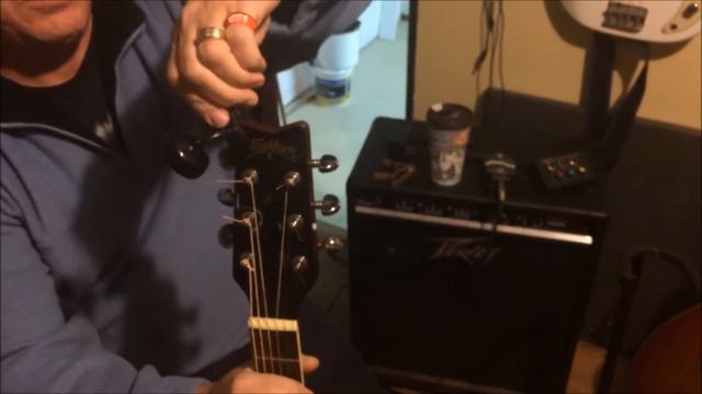 Washburn D11 AN Review