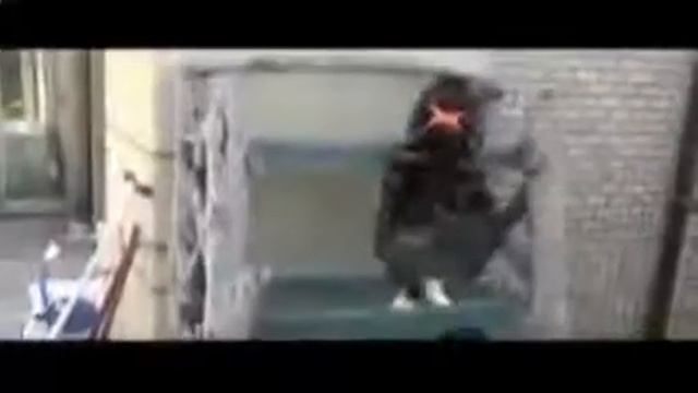 Ох уж эти кошки Приколы с животными Смешные приколы с кошками1 смотреть онлайн