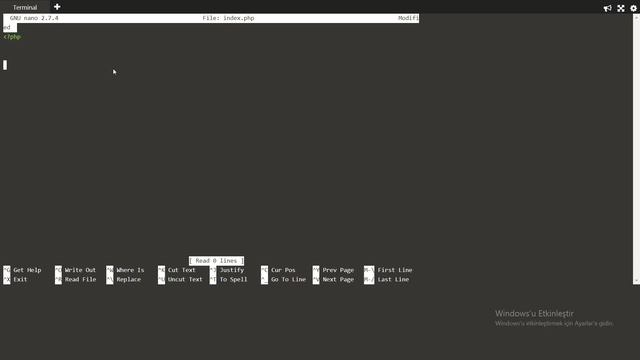 docker php containeri kurulumu смотреть онлайн