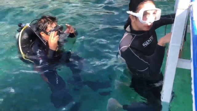 SCUBA DIVING EXPERIENCE