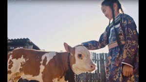 Нүхэд тухайгаа - О друзьях | Будаева Янжима - Мүнгэн хонхонууд