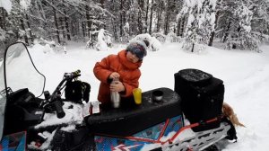 Sharmax sn-550 отвези нас в лес. Сезон 2021