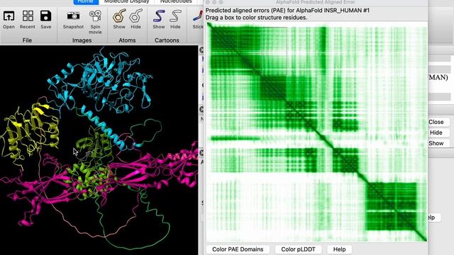 How to show AlphaFold error estimates with ChimeraX смотреть онлайн