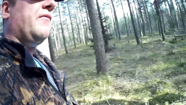 Деревенские будни, полёт над берегом реки ловать, смотреть онлайн