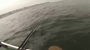 Ловля камбалы и кнута с лодки.Ловим на силиконовые приманки.