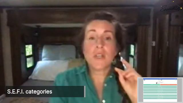 All About SEFIs: Subtle Energy Frequency Imprinter смотреть онлайн