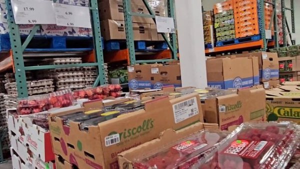 COSTCO Business Center цены на продукты и скидки в оптовом супермаркете Костко | Жизнь в Канаде ??
