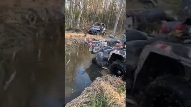 Рм 800 смотреть онлайн