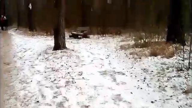 VLOG,у белок есть столовая ? | выпал снежОК ! | смотреть онлайн