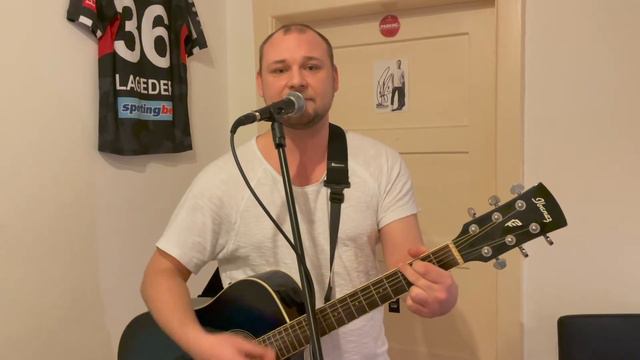 Sarah Connor - Das Leben ist schön (Dominik Haidinger Cover) смотреть онлайн