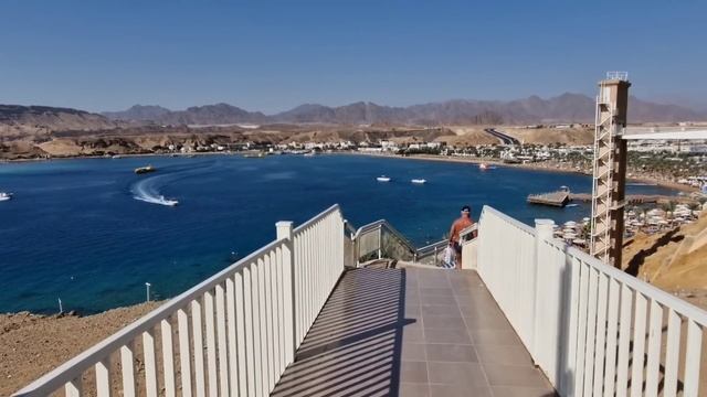Египет 2024?? ЗНАМЕНИТАЯ четвёрка Albatros Sharm Resort 4*. Все ХОТЯТ в этот ОТЕЛЬ❗️ Шарм-эль-Шейх смотреть онлайн