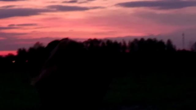 что если я просто не знаю? смотреть онлайн