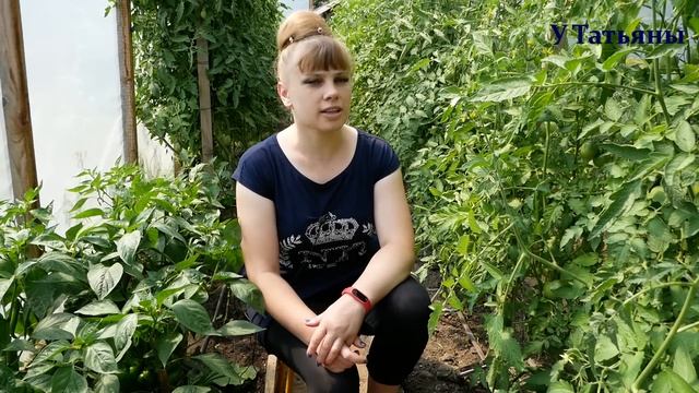 100% Полейте ЭТИМ ПЕРЕЦ от СЛИЗНЕЙ и для УВЕЛИЧЕНИЯ УРОЖАЯ!!! смотреть онлайн