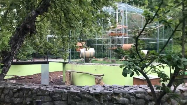 Ленинградский зоопарк! смотреть онлайн