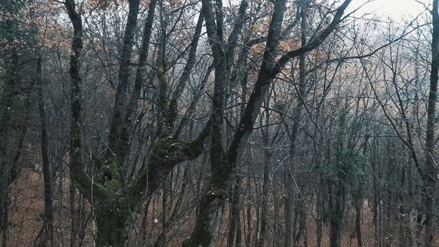 Пистолет _ Krot-n-Roll & Lazy Bluesy смотреть онлайн