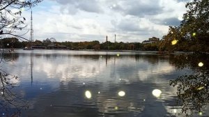 Муж, свекровь и золовка решили использовать квартиру жены, полученную в наследство...