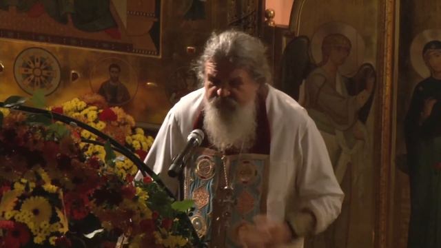 Утешительное слово на праздник Покров Пресвятой Богородицы отца Андрея Лемешонка смотреть онлайн