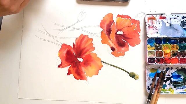Poppy flower watercolor painting ? рисуем цветы акварелью : мак #watercolortutorial #flowerpainting смотреть онлайн