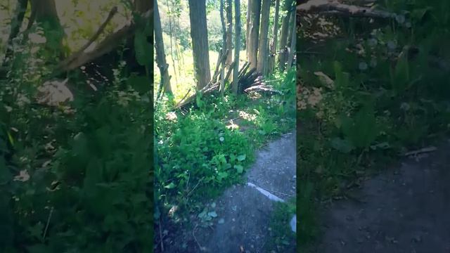 Санжар смотреть онлайн