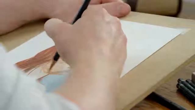 Карандаши цветные Derwent Procolour смотреть онлайн
