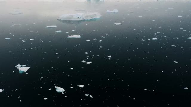 The Last Island No One Has Ever Been Too смотреть онлайн