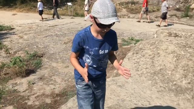 Большая ящерица в Грузии (п.Уплисцихе) смотреть онлайн