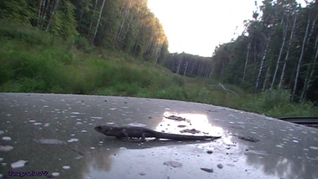 лэп2 смотреть онлайн