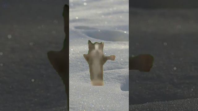 шнапи в разных местах часть 3 смотреть онлайн